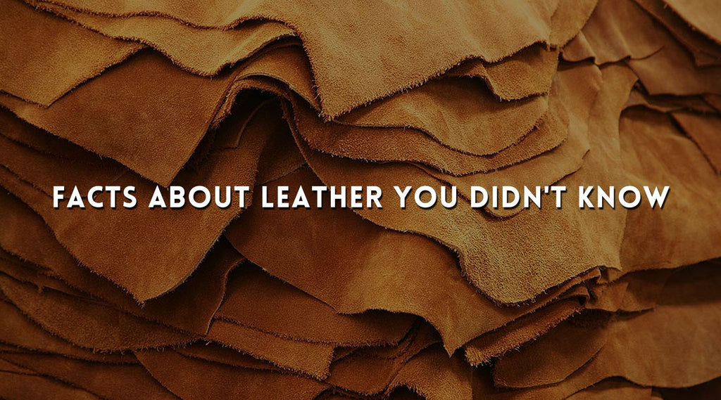 facts-about-leather